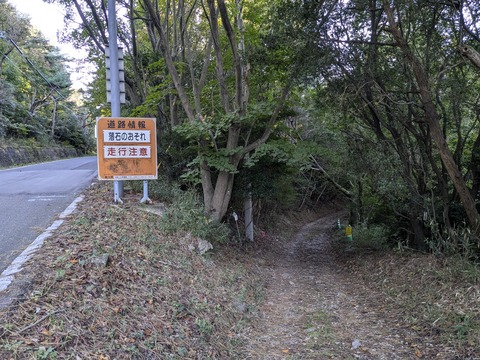 PXL_20241106_231314437