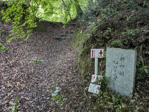 PXL_20240424_052948154