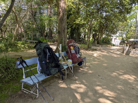 PXL_20250426_011600543