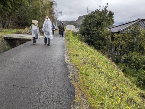 PXL_20240223_002837575