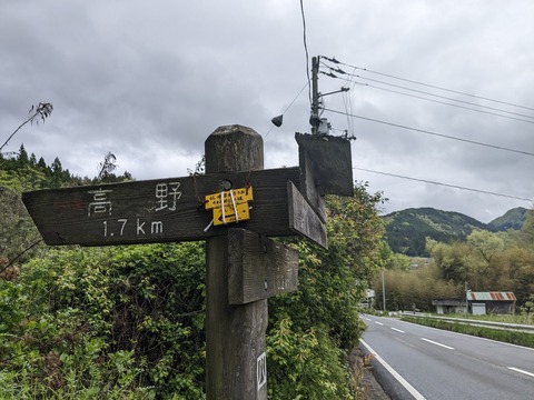 PXL_20240427_025619831