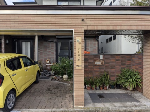 PXL_20241023_064203160