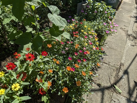 PXL_20240718_233432360