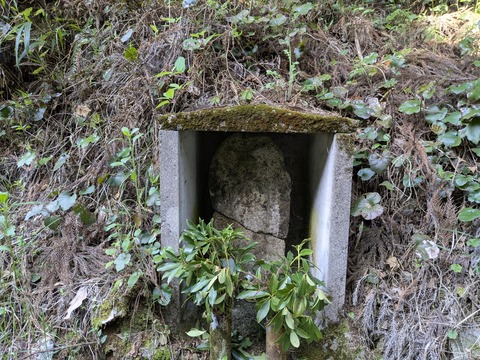 PXL_20250429_234401595