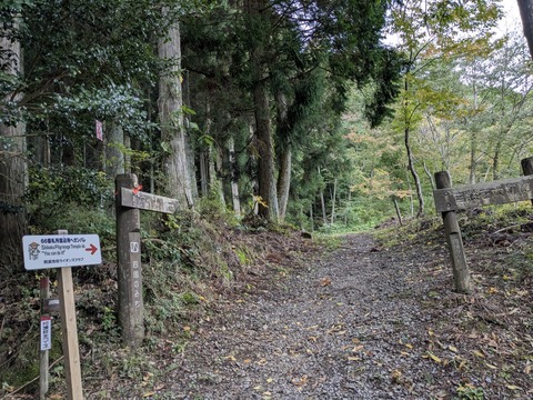 PXL_20251102_235911407