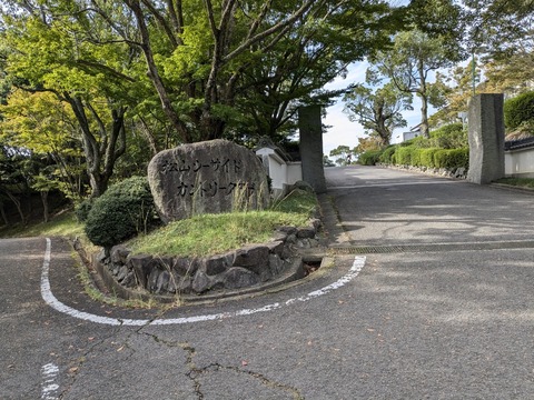 PXL_20241024_005426824