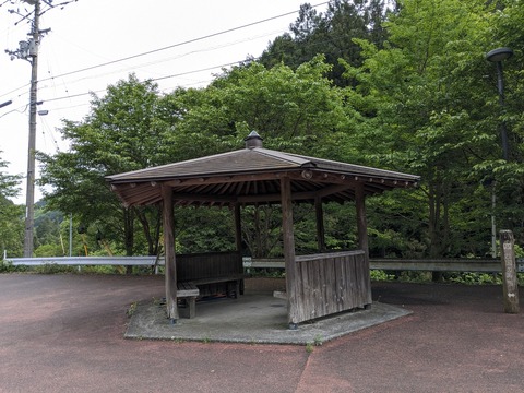 PXL_20240424_025709098