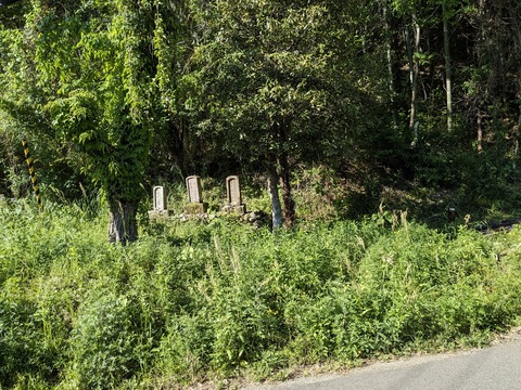 PXL_20240425_065909811.MP