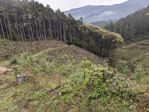 PXL_20240425_214544984