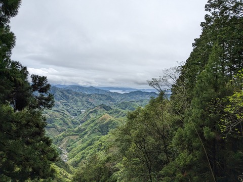 PXL_20240424_014844838