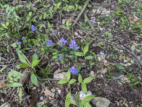 PXL_20240425_214823955