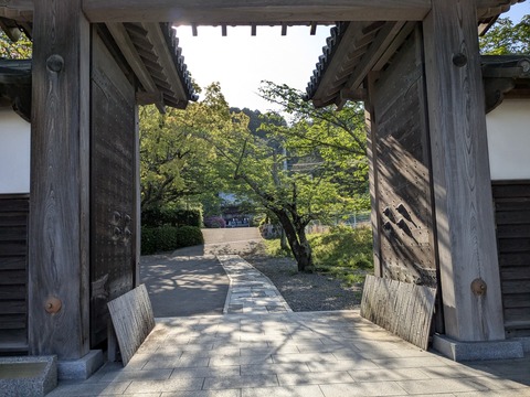 PXL_20250426_224941891