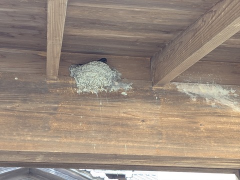 PXL_20250428_225221394