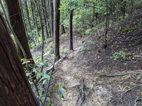 PXL_20240424_011034689