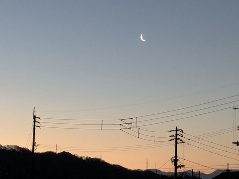 PXL_20250224_211703428