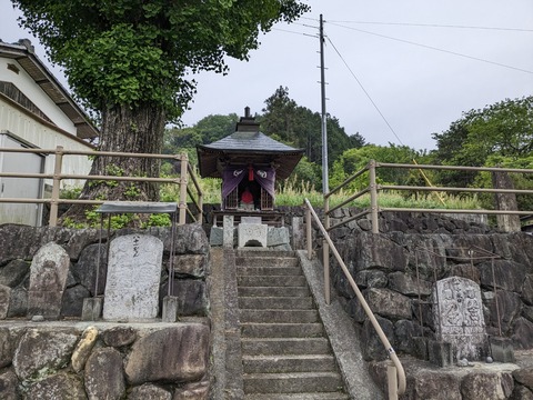 PXL_20240425_210601583