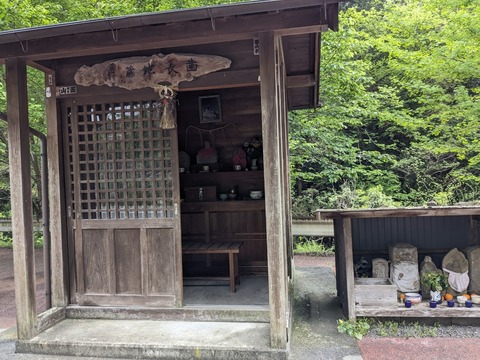 PXL_20240424_025656256