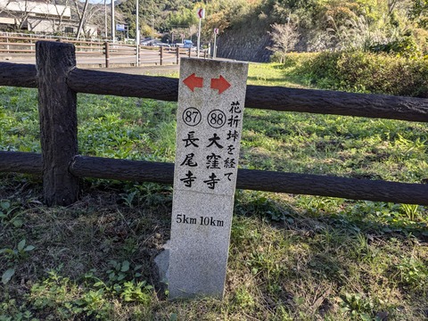 PXL_20241109_032133774