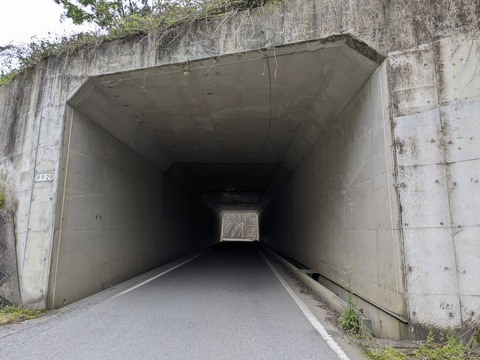 PXL_20240425_212851303