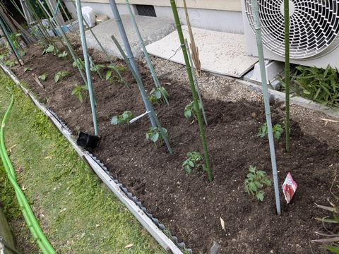 PXL_20250505_072525542