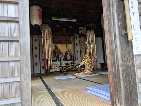 PXL_20241106_004256665