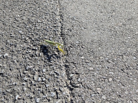 PXL_20251103_042505166