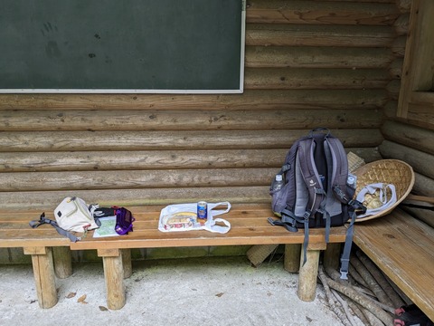 PXL_20240426_030029938