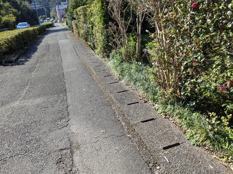 PXL_20241120_035557429.MP