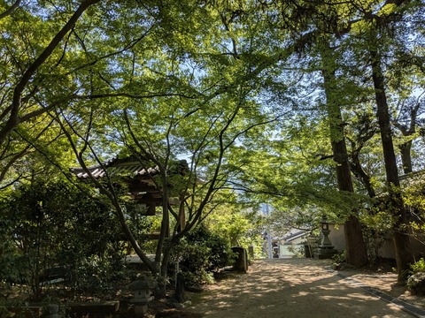 PXL_20250426_005633696