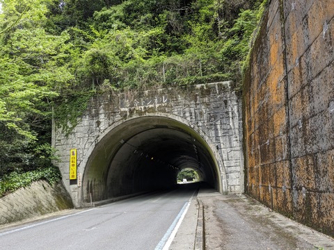 PXL_20240426_020336870