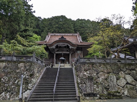 PXL_20240424_050457867