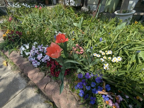 PXL_20250326_030555510