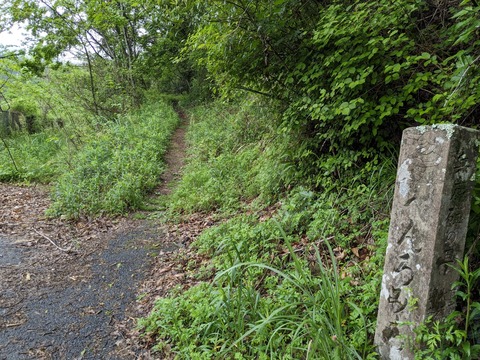 PXL_20240424_005737518