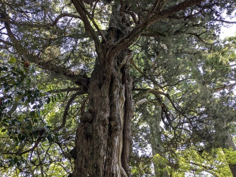 PXL_20250426_011615069