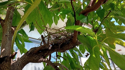 IMG_20220220_130220_428