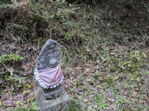 PXL_20251113_064711926