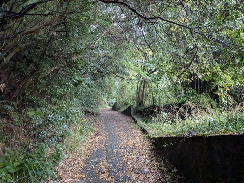 PXL_20251124_234817562