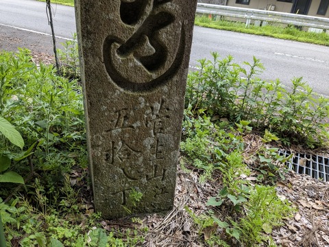 PXL_20240426_043323719