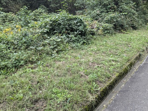 PXL_20241025_003340812