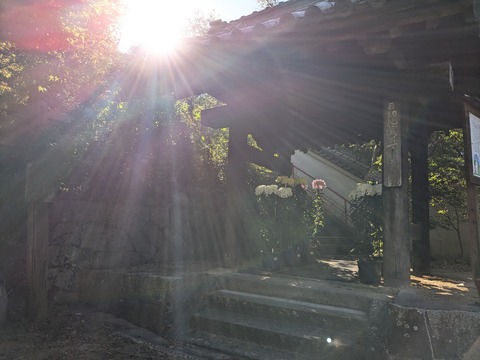 PXL_20241109_003429824