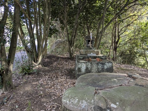 PXL_20241107_024234854