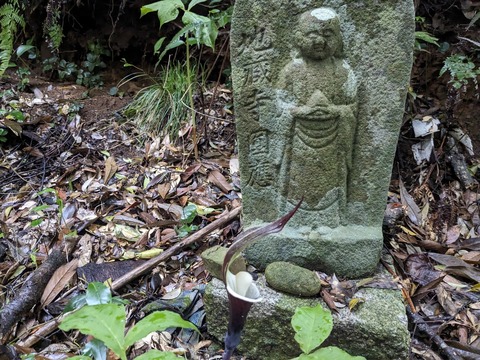 PXL_20240328_233847774