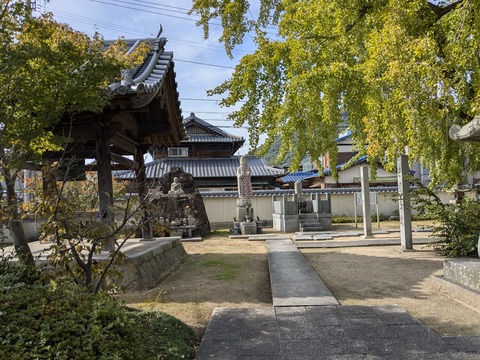 PXL_20241108_024644981