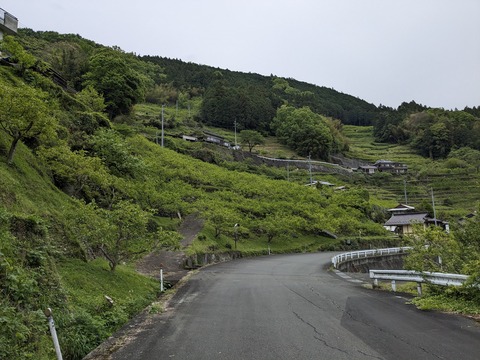 PXL_20240426_002640535