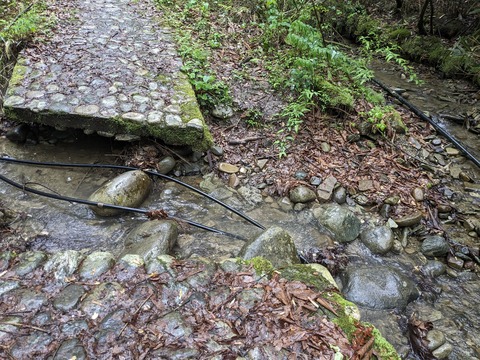 PXL_20240426_224657188