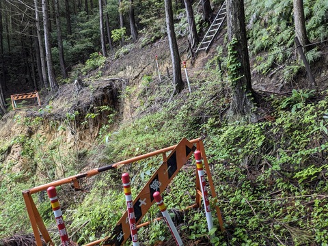 PXL_20240424_010824942