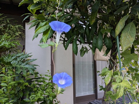 PXL_20240923_210218588