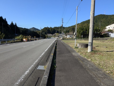 PXL_20241120_004354036