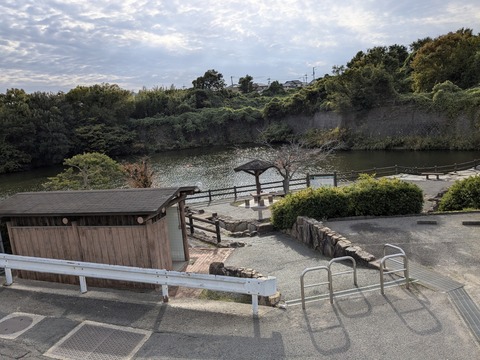 PXL_20251112_053256007