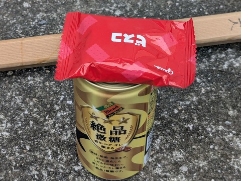 PXL_20241024_041502491